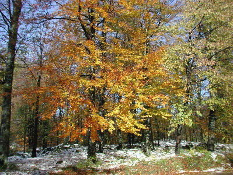 A20E1935C3E982AEE8CB71E3B7B34D68