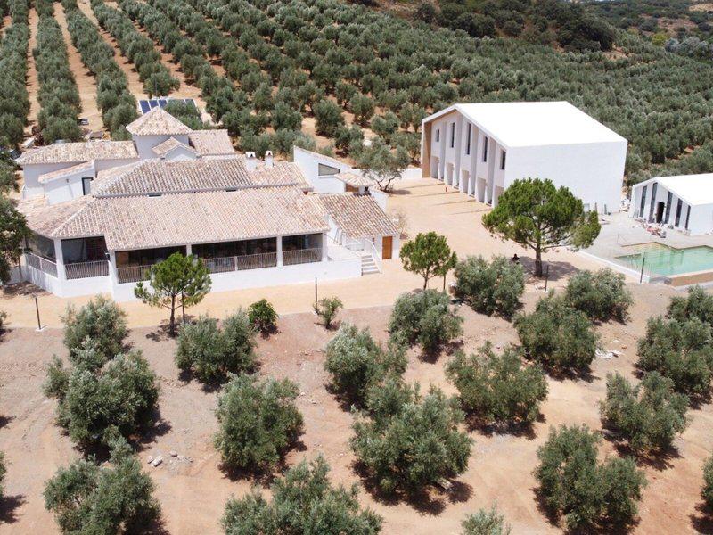 21C5B75BFD443E456161BDC04F2B3503