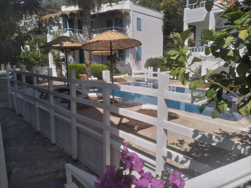 01DA1A1FD4877CF896C66C21F2813CCF