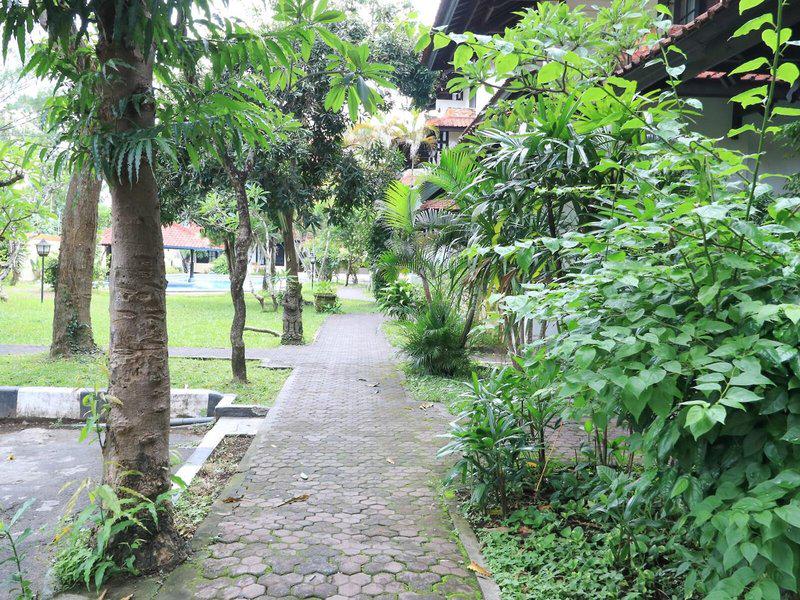 53AD806CE7E516BC0FA8B10D9EE8B01C