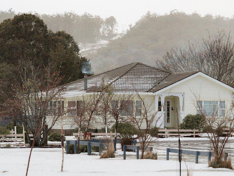 BAA6D068BF4AB0E37A1A4C6EC816FD62