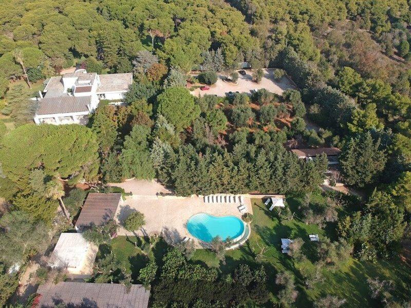 7D73B9C747AFF7890490E912B1282264