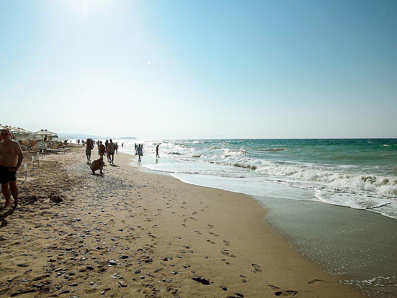 D1B75F3276A4DAB8132F54B241A97200