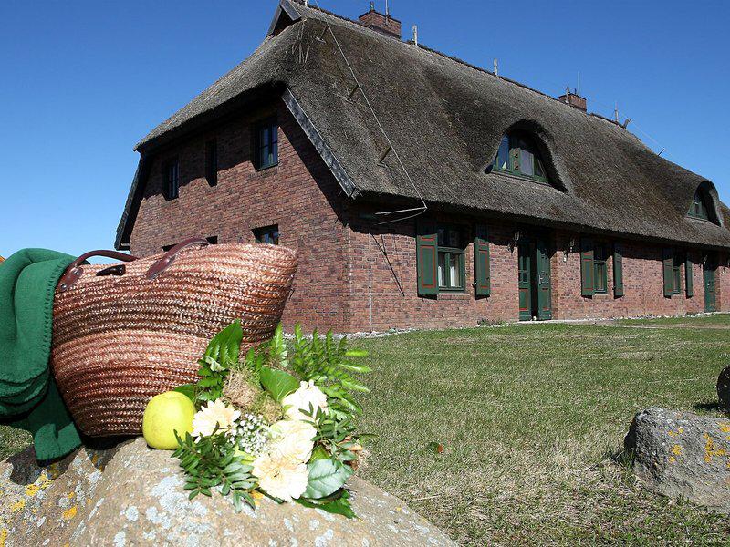 3B1C6381B675B1DC10E795DBB247EB1E