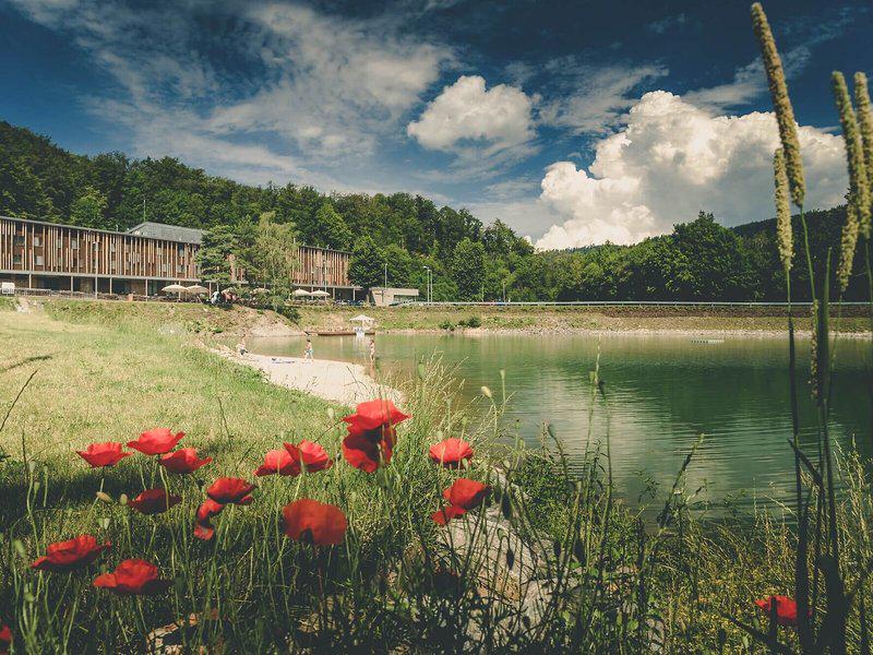 E12D11E547C45B012C1FCC9584D73333