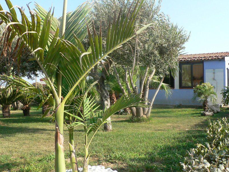 BDA8FB4C0B82268666D6432B3407421B