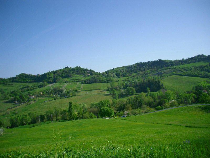 25724565D4DDBBFAEEBDFB9DF20D60C5