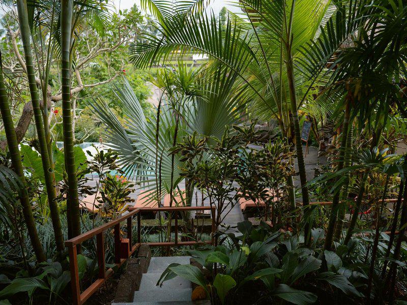 C13688F7DEC091BD6BCA4D77D34A5259