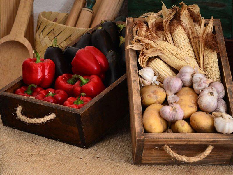 8BC2AB2403504D8B4B4BB1B89E27ADC6