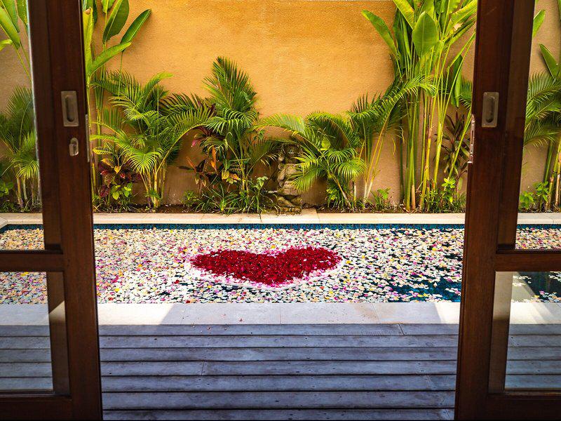 8CDD622C2258E88117895E7BA95B11D8