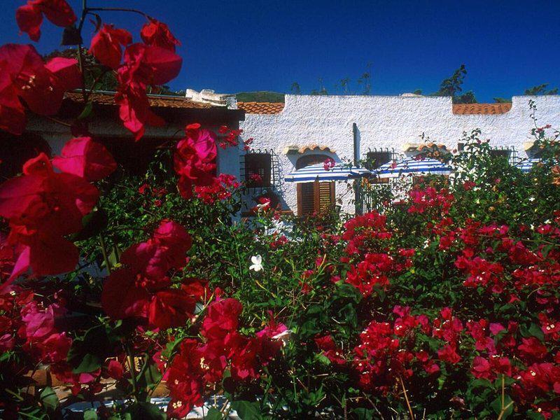 5442EAB3F42C957C2CA97792ABF112FE