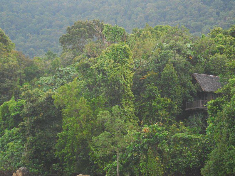 FE37F054DE94941B9F3622C35CA41C7D