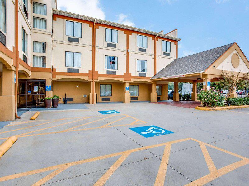 EF6950A54F4909EA9A4247EC18DE41E2