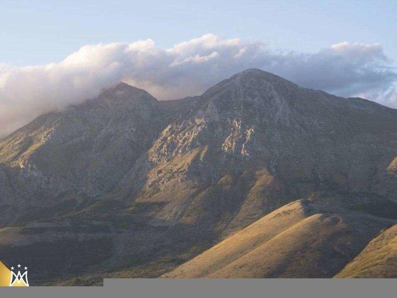 9E056EC70239F1012F32332F215149B4