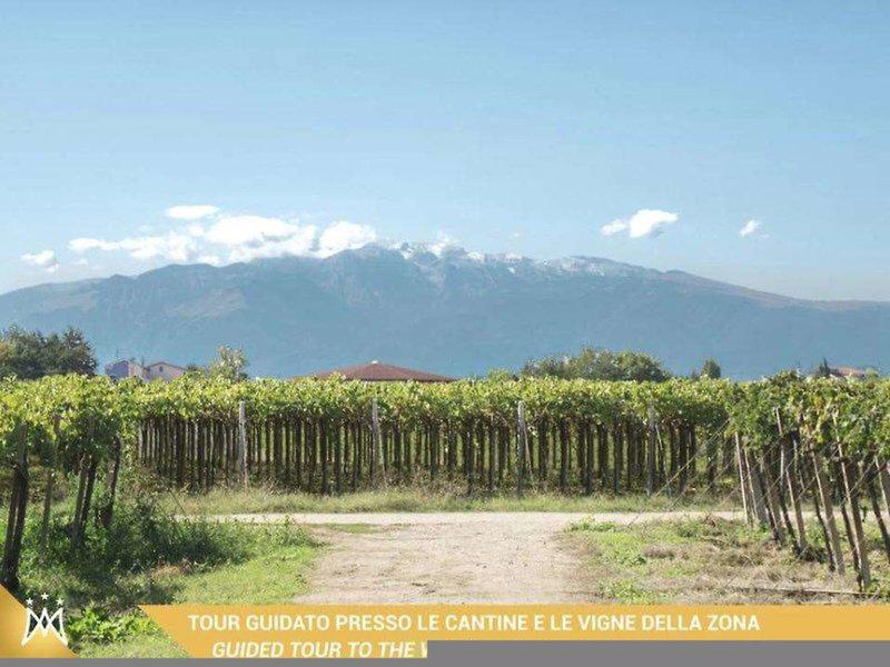 E9F77996F48A1F12992F737820648354