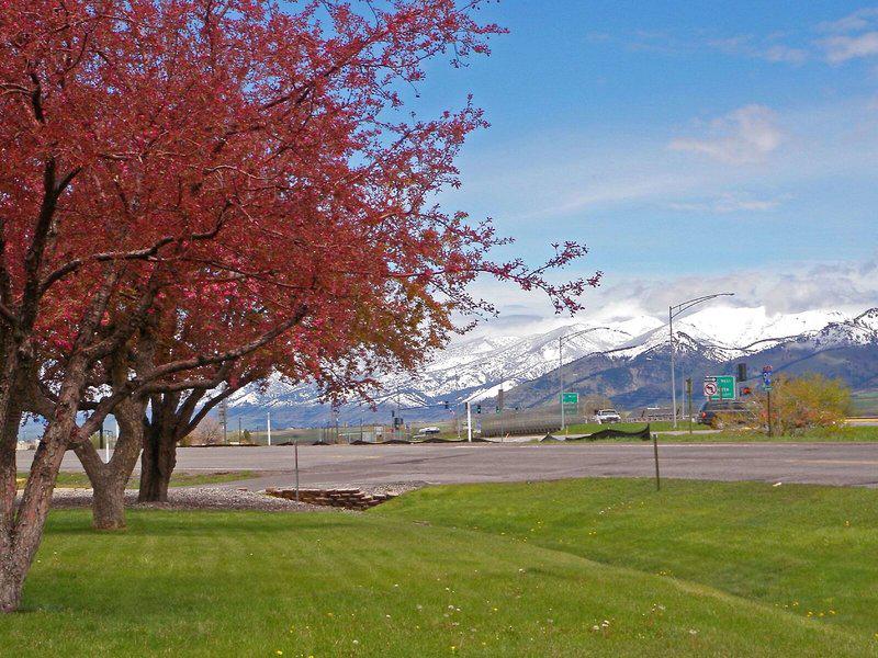 B15A7BBAABBF65EBA27012EC1AC078FE