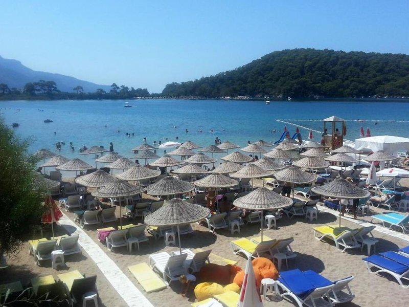 3E964778E39F426EE1A037F822A7FDA0