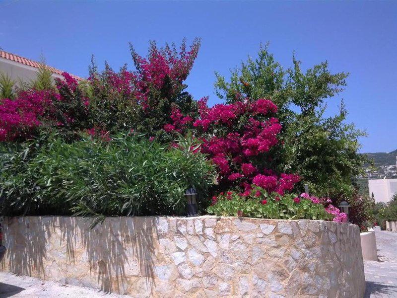 87BD483269816CE79D3CD19458BFDAA0