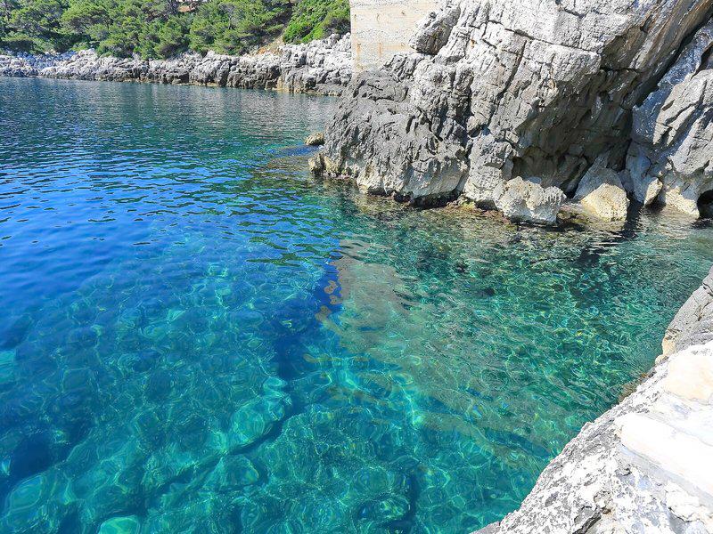 C6E4E26C629F97D25B8499B10E12EA41