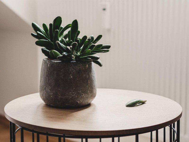 F101A5D4487E1FF69EA0C02EAF973081