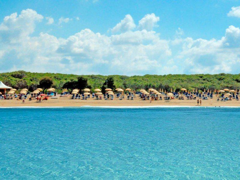 6E327C0509AA4C7EC2CF185B5CC1B123