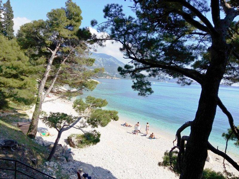 94770C9A112D9F4BE31E64059EC37ADF