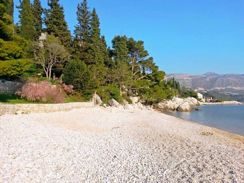 170B8368E4FC6BF6AF98ACFF01E83215