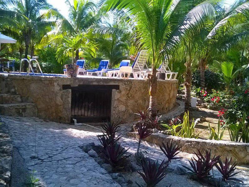 F1BBB7A56BA5908DE50C716D618531CC