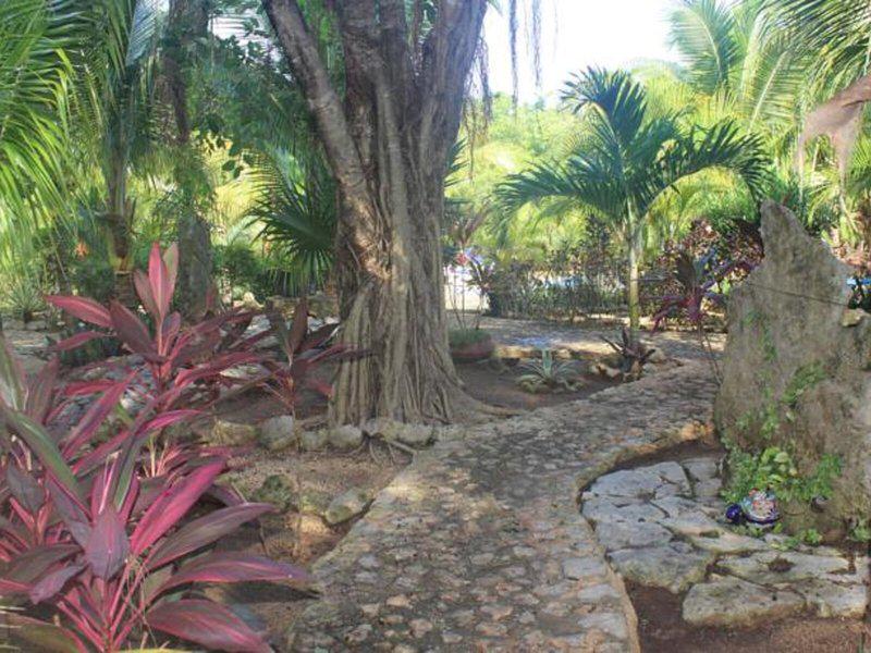 A20390EB0E63B175B59A360A59191364