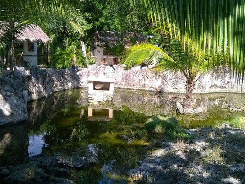 5565312A7866A70CB055467448661D92