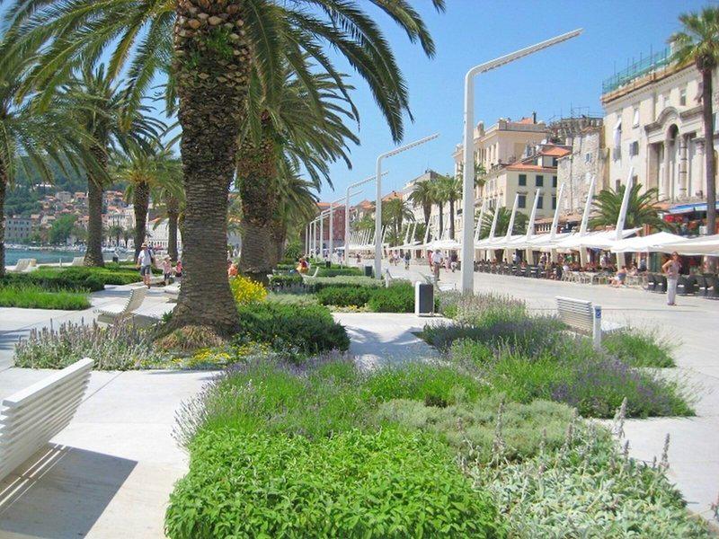 7F356AA6A025A66A82D0FF1E6258C334