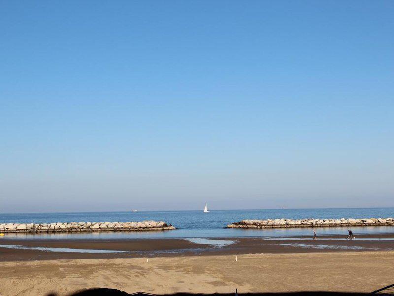 817D30967A1AB3A2301B38C751C7A78A