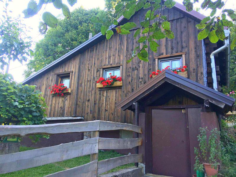 CE198D5777FA4D4645BC69173B4536A9