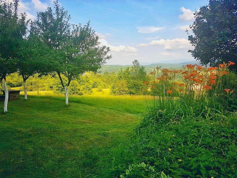 92E8D7CE7B68947DCB0559F9D2C8B2C1