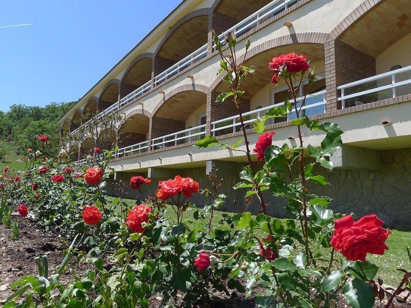 3CF4D1A7844C22A177B1ED9E1DE57416