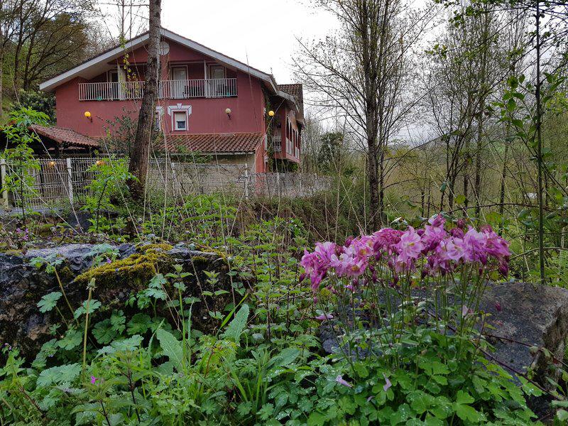 D00275FF436B4197D4B6B3F3868A2276