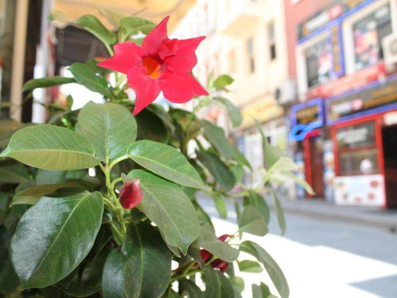 0821226451C97CCD7E68A074B895301B