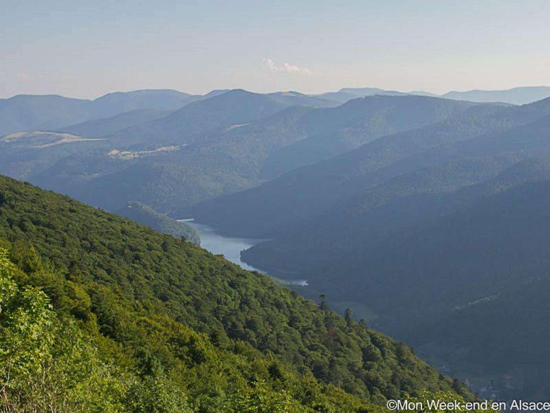 86AF46709135F20A362648FE6C743E23