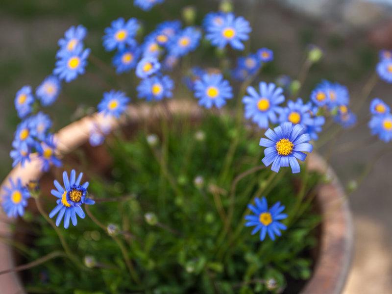 CD0E44F0220AFA90EA9E17312BEBE126