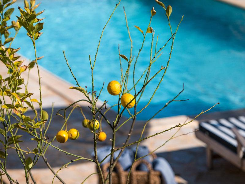 40B980F05270CB78FD19D755CA4509A7