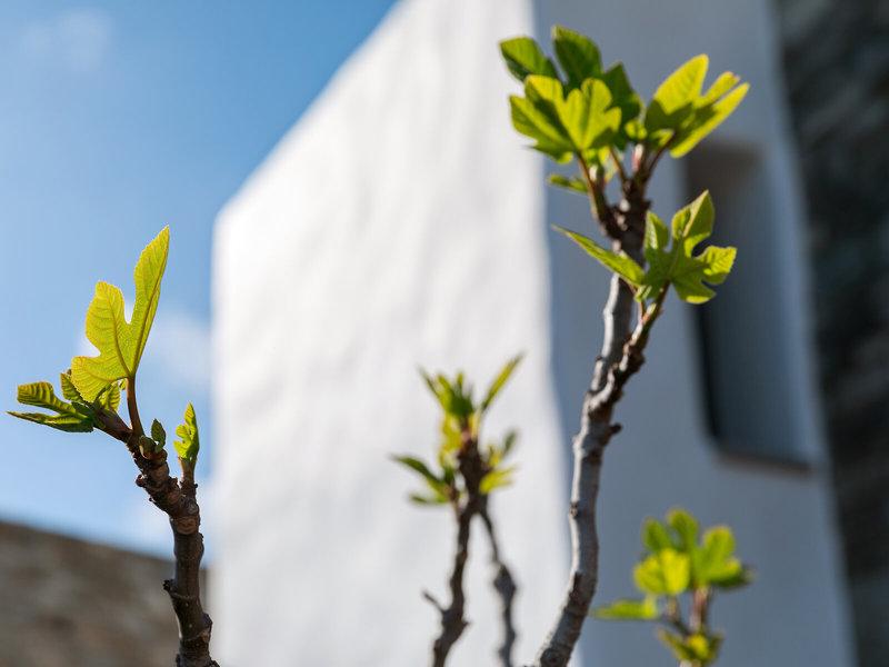 B6CC5F751A31C9C54F0C0ECF10E30A61