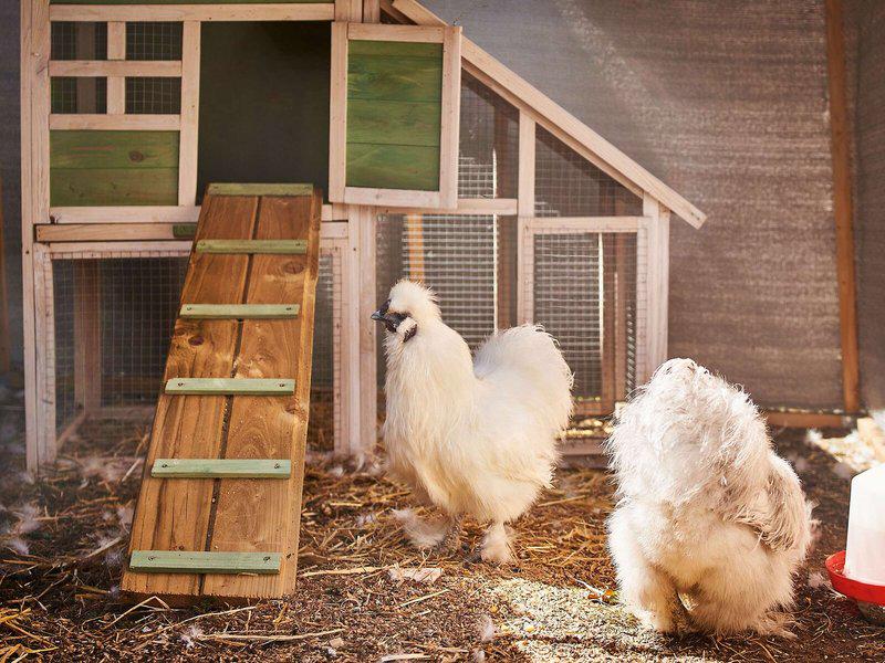 96B855384FC1E7AA0F126A20A99AD7AA