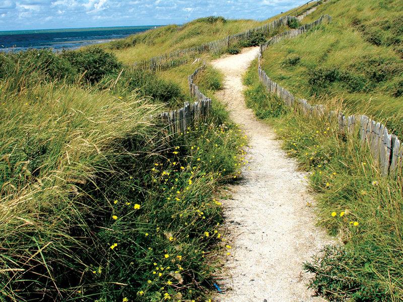 C24274ADC7B89D95EFC9E7E062416082