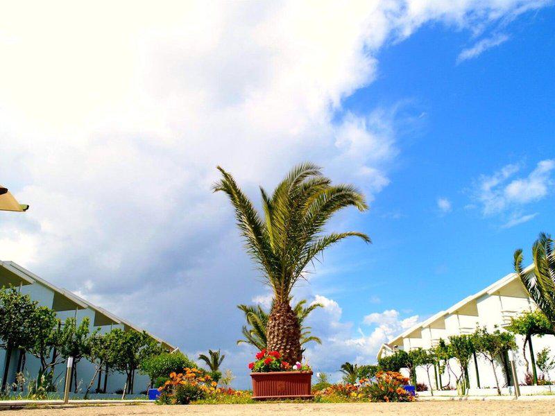 41D2F11BBE08DBA540FEA38670591ED7