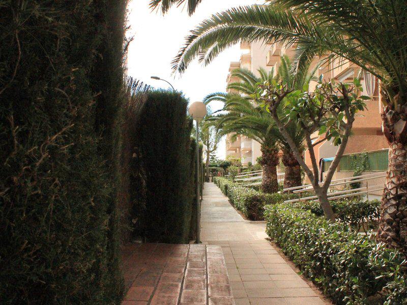 ACD8A5C87D5D0A01EC4BEB774DCFD04E