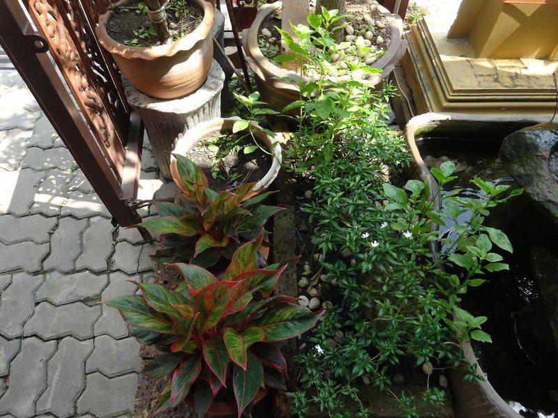 659593AEB0F0D601A30F47FC8124CE87