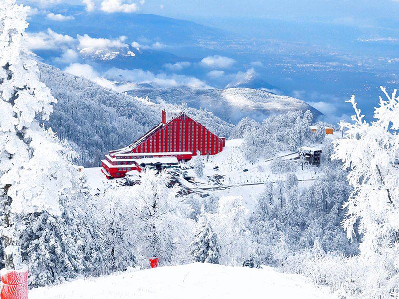 452777F78D37F415DC69A7135155A5C8