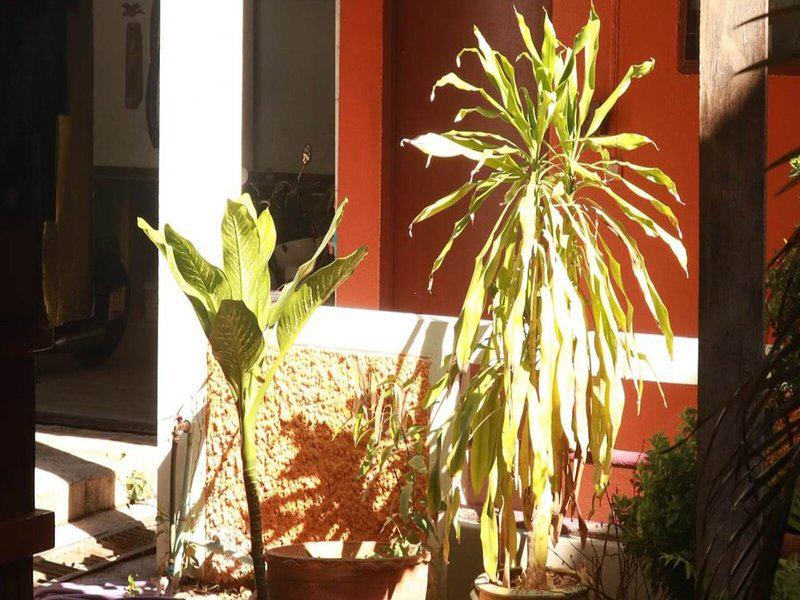 EEB205E6F2D0CC8A961509E6DAA19C51