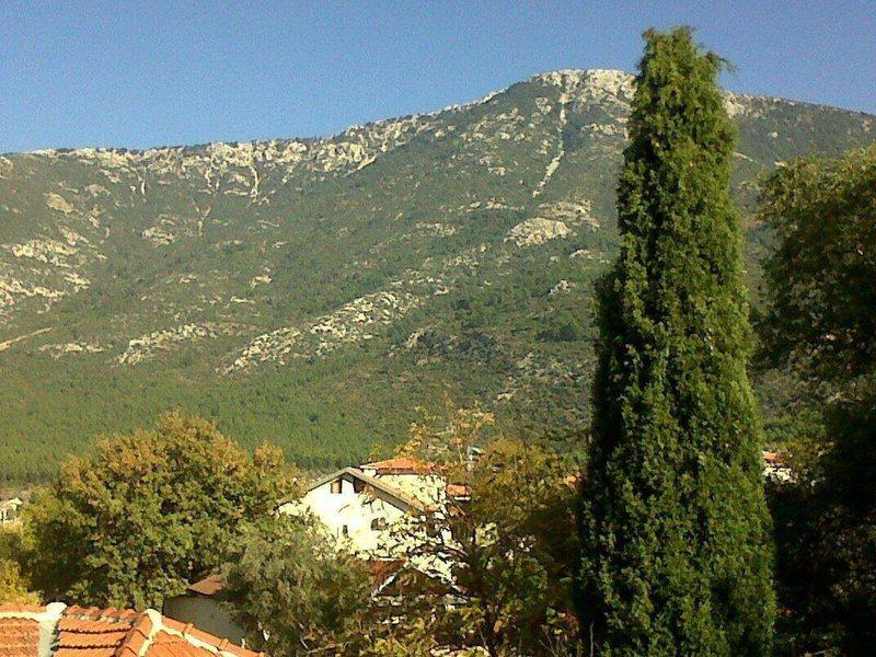 2238C5DEA0B9DA6E3DD82596F5B7A8E8