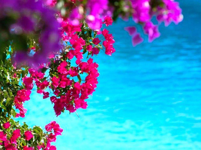 24DEC9E80CEB3EA9E2C0CD59ED699665